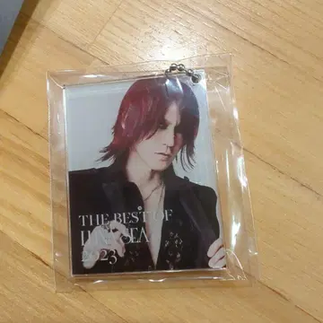 LUNA SEA SUGIZO 아크릴 키링