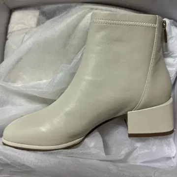 스콧 클럽 nouer