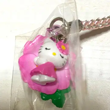 헬로키티 고토치키티 하코네 꽃 플라워키티 진달래 키티 산리오