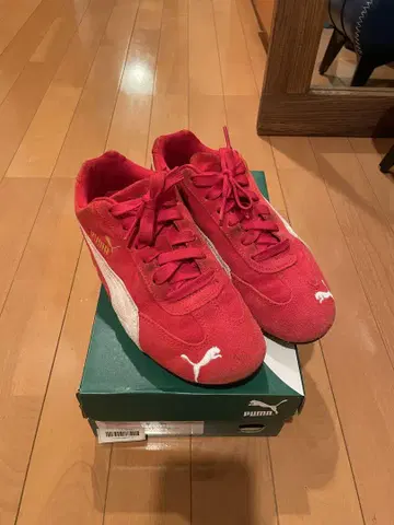 스피도캣 빨간색 23cm