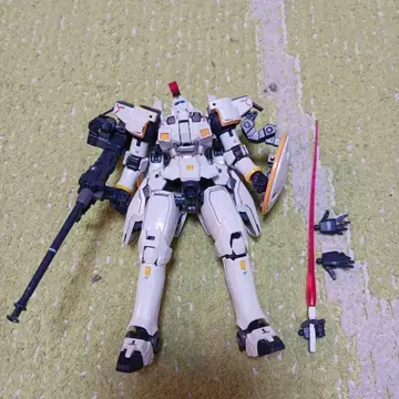 RG 토르기스
