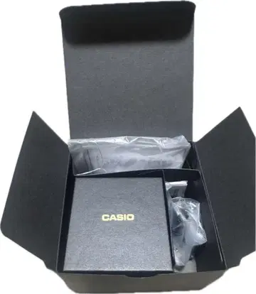 CASIO 반지 워치 CRW-001-1JR