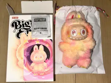 정품 러브브 에너지 Big into energy LOYALITY