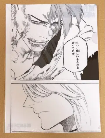 BLEACH 블리치 원화전 클리어 파일 바즈비 해시발트