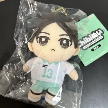 [하이큐!!] Chibi 누이 오스와리 마스코트 쿠니미 에이