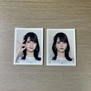 사사키 마이카 ID 사진 이코러브