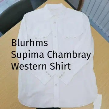 Blurhms Supima Chambray Western Shirt