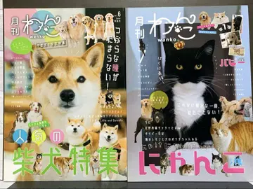 월간 강아지 vol.6.7