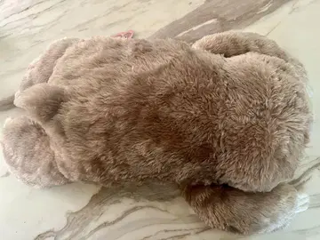 나무늘보 토로린쵸 봉제 인형