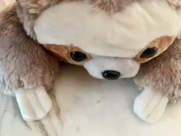 나무늘보 토로린쵸 봉제 인형