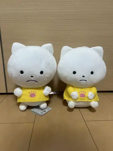 니시무라 유우지 시무룩한 아기 고양이 봉제 인형 2개