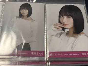 엔도 사쿠라 요리츄