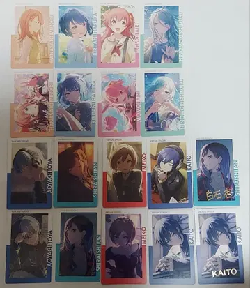 프로세카 ePick card 21B