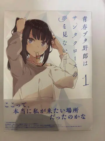 청춘 돼지 녀석은 산타클로스의 꿈을 꾸지 않아 1 BluRay