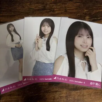 노기자카46 모리히라 레이신 어깨 트임 상의 브로마이드 컴프