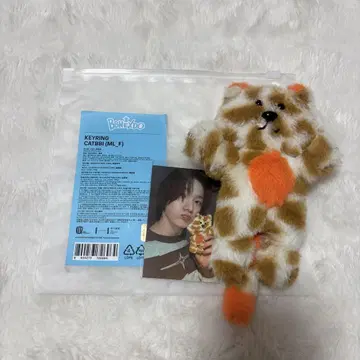 boynextdoor 성호 케피 catbbi 키링 트레이딩 카드