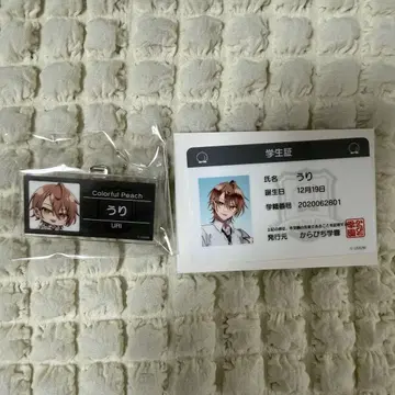 카라피치 컬러풀 피치 우리 씨 명찰 학생증