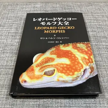 레오파드게코 모프 대전
