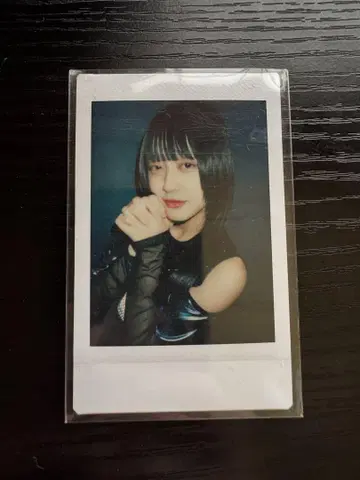 ASP 리온타운 무도관 폴라로이드