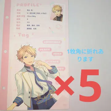 앙스타 중국 최애 정보 카드 나루카미 아라시