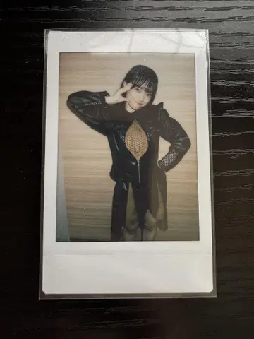 ASP 치치치치치치 무도관 폴라로이드