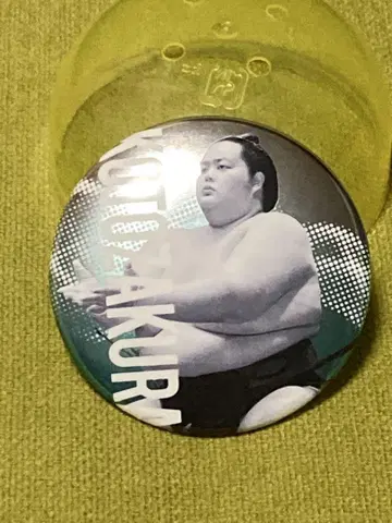 스모 가챠 오제키 고토오자키 칸 배지