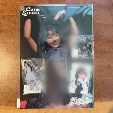 마스다 아야노 스키복권