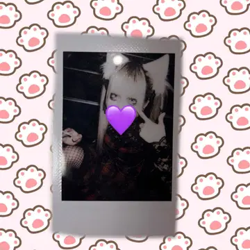 마큐로 보라달 렌 폴라로이드