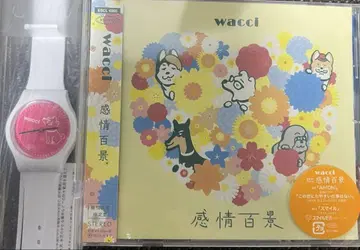 wacci 감정백경 CD와 시계 세트 미개봉 새상품