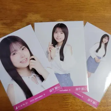 노기자카46 모리히라 레이신 어깨 트임 상의 컴프 브로마이드