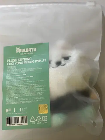 TXT PPULBATU 최용멍 키링