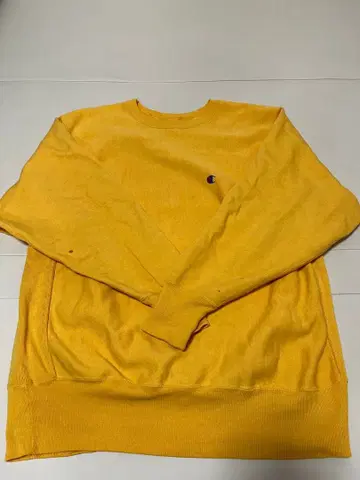 챔피온 리버스 위브 90s XL