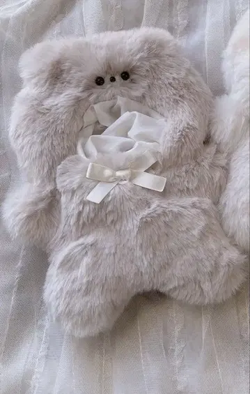 포메라니안  의류