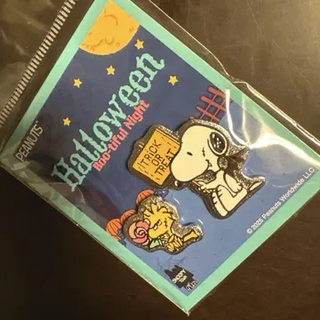 스누피타운 할로윈 핀 배지 2개 세트