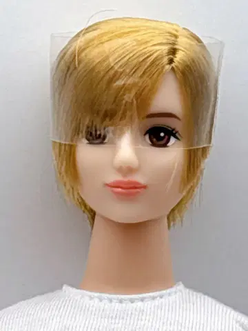 타쿠미 오타노시미 인형 리카짱 캐슬 제니