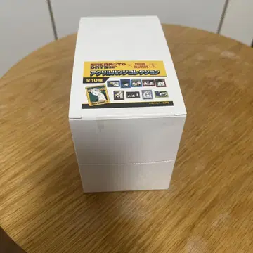아크릴 배지 컬렉션 전 10종 BOX 타워 레코드 사카모토 데이즈