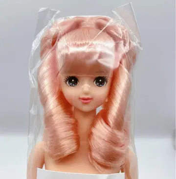 미래 즐거움 인형 리카짱 캐슬 제니 프렌드