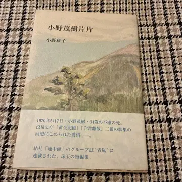 오노 시게키 히라히라 오노 마사코 2006년 나가라미 서점