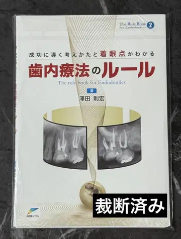 성공으로 이끄는 사고방식과 착안점을 알 수 있는 치내요법의 규칙