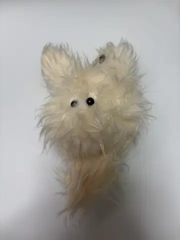 NMIXX 해원 모케모케
