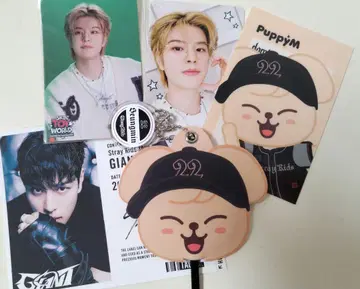 straykids 승민 세트