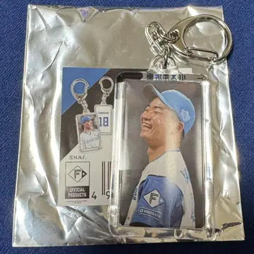 야마가타 히데 미니 키링 시크릿