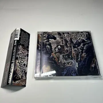 서포케이션 서울즈 투 데니 SUFFOCATION 데스메탈