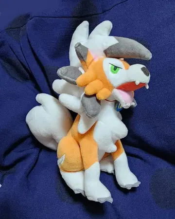 루가루암 황혼의 모습 포켓몬 봉제 인형 POKEMON