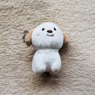 RIIZE 앤톤 ANTON 몽룡이 마스코트