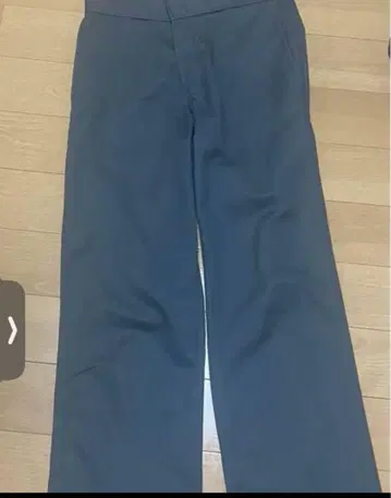 디키즈 874