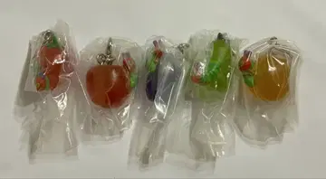 배고픈 애벌레 메지루시 액세서리 컴플리트 세트