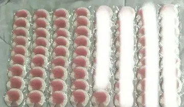 프로세카 아키야마 미즈키 그리캔 37c