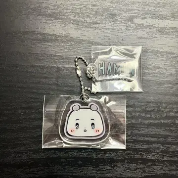 공식 PLAVE 하민 미야미 109 POPUP 키링 가챠
