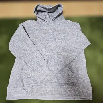 THE NORTH FACE 그레이 후드티